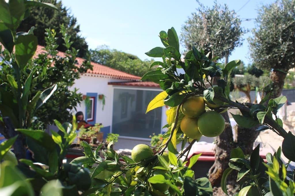 Vila Casa Manuel E Maria Fátima Exteriér fotografie
